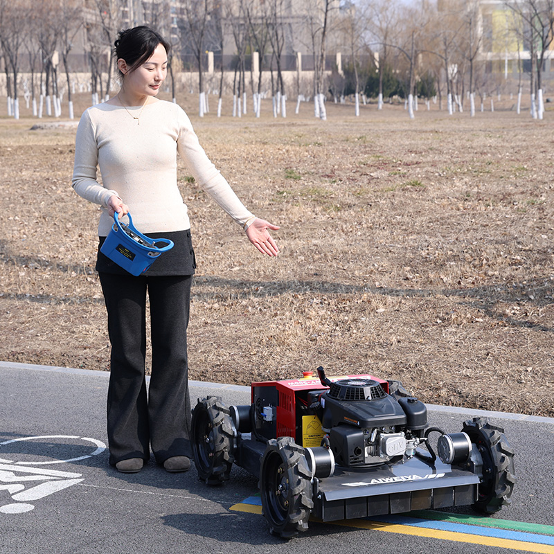 customized Remote Control Robo - Robot Wheel ulasan dan harga