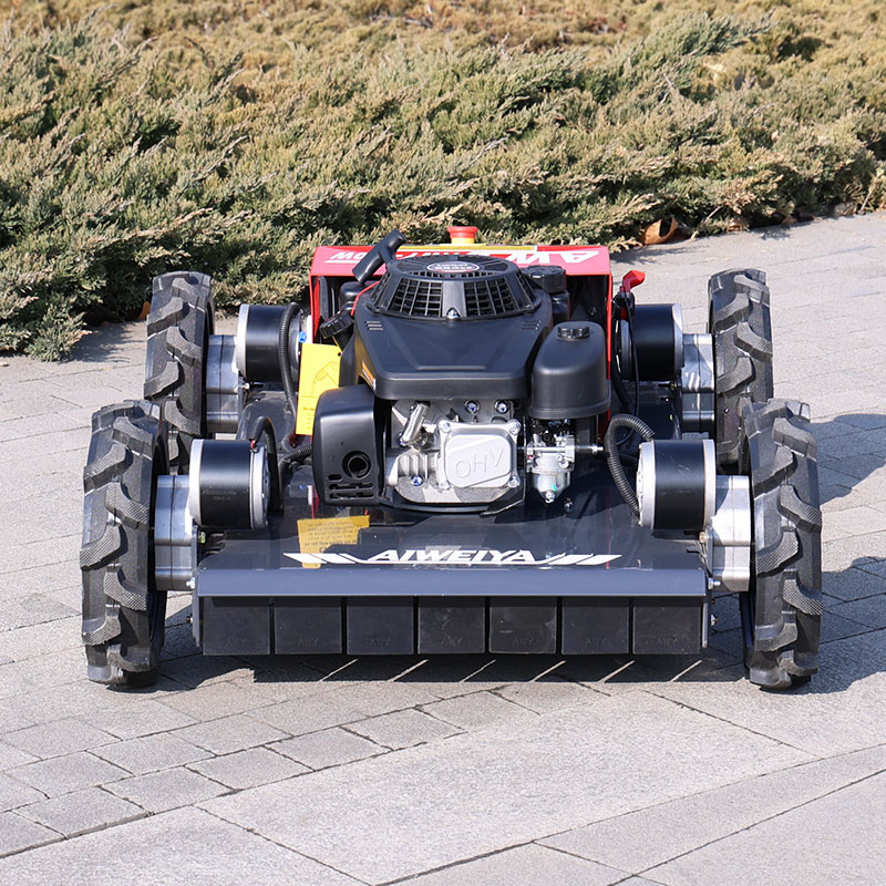 customized Remote Control Robo - Robot Wheel ulasan dan harga